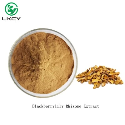 Bubuk Ekstrak Rimpang Blackberrylily