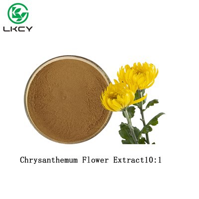 Ekstrak Bunga Krisan